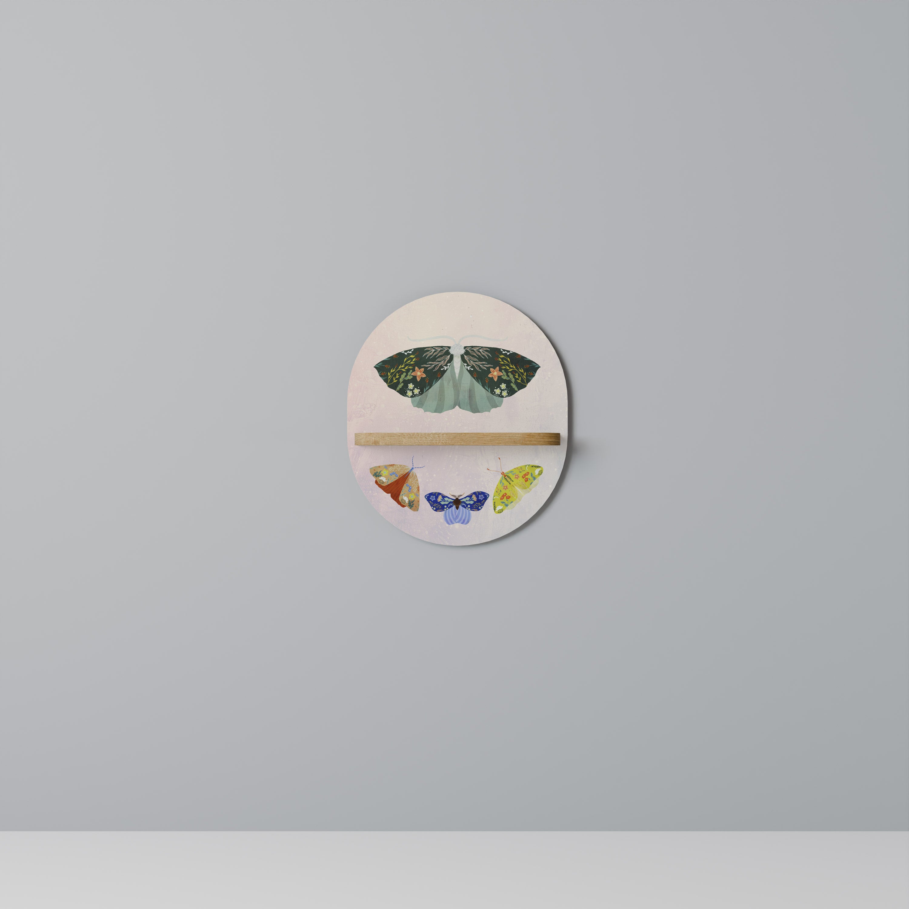 MOTH INTO THE LIGHT Decorative Art Shelf