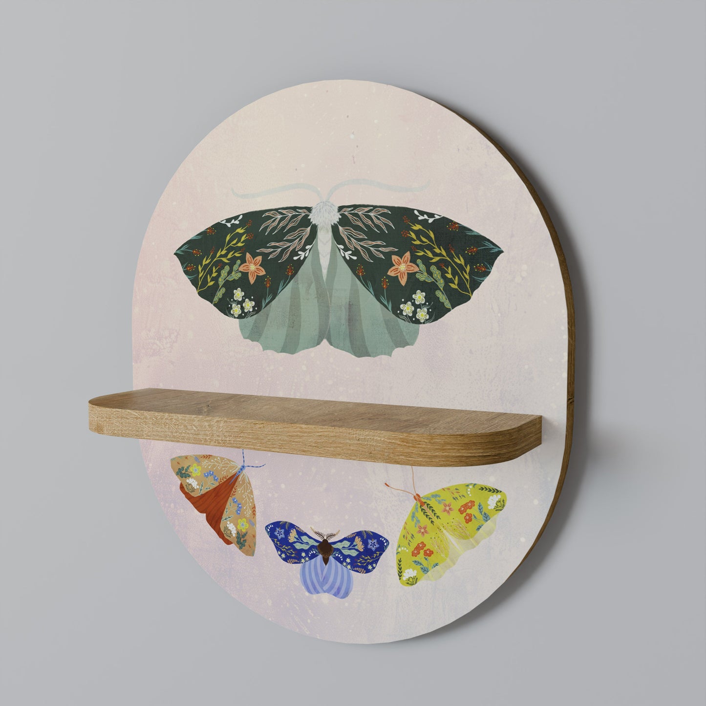 MOTH INTO THE LIGHT Oval Art Shelf In Oak Effect