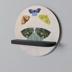 MOTH INTO THE LIGHT Decorative Art Shelf