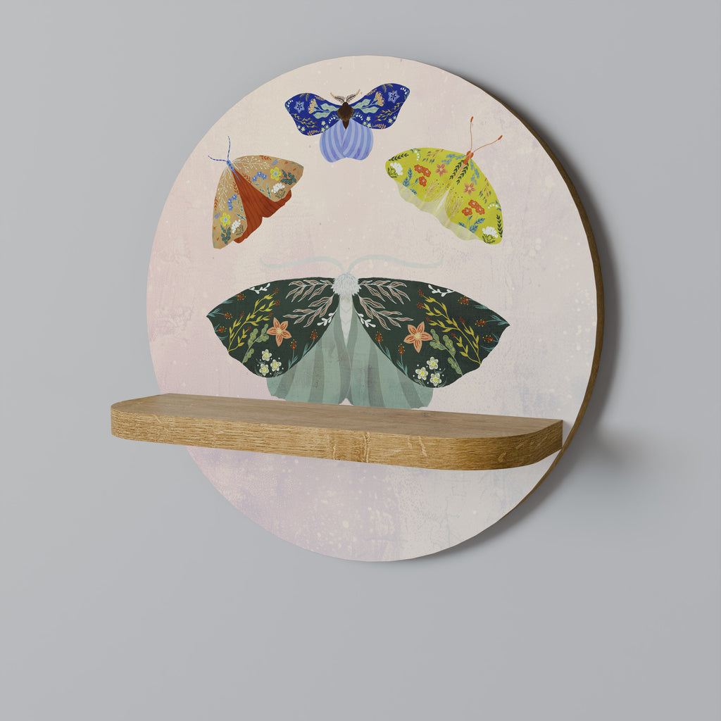MOTH INTO THE LIGHT Decorative Art Shelf