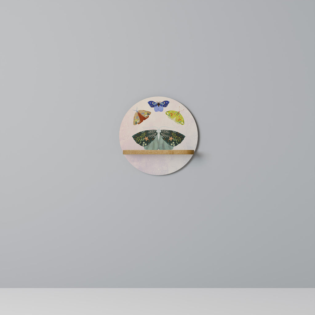 MOTH INTO THE LIGHT Decorative Art Shelf