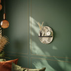 ALMONDINE SONGBIRD Decorative Art Shelf