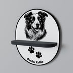BORDER COLLIE Decorative Art Shelf