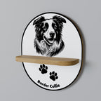 BORDER COLLIE Decorative Art Shelf