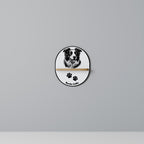 BORDER COLLIE Decorative Art Shelf