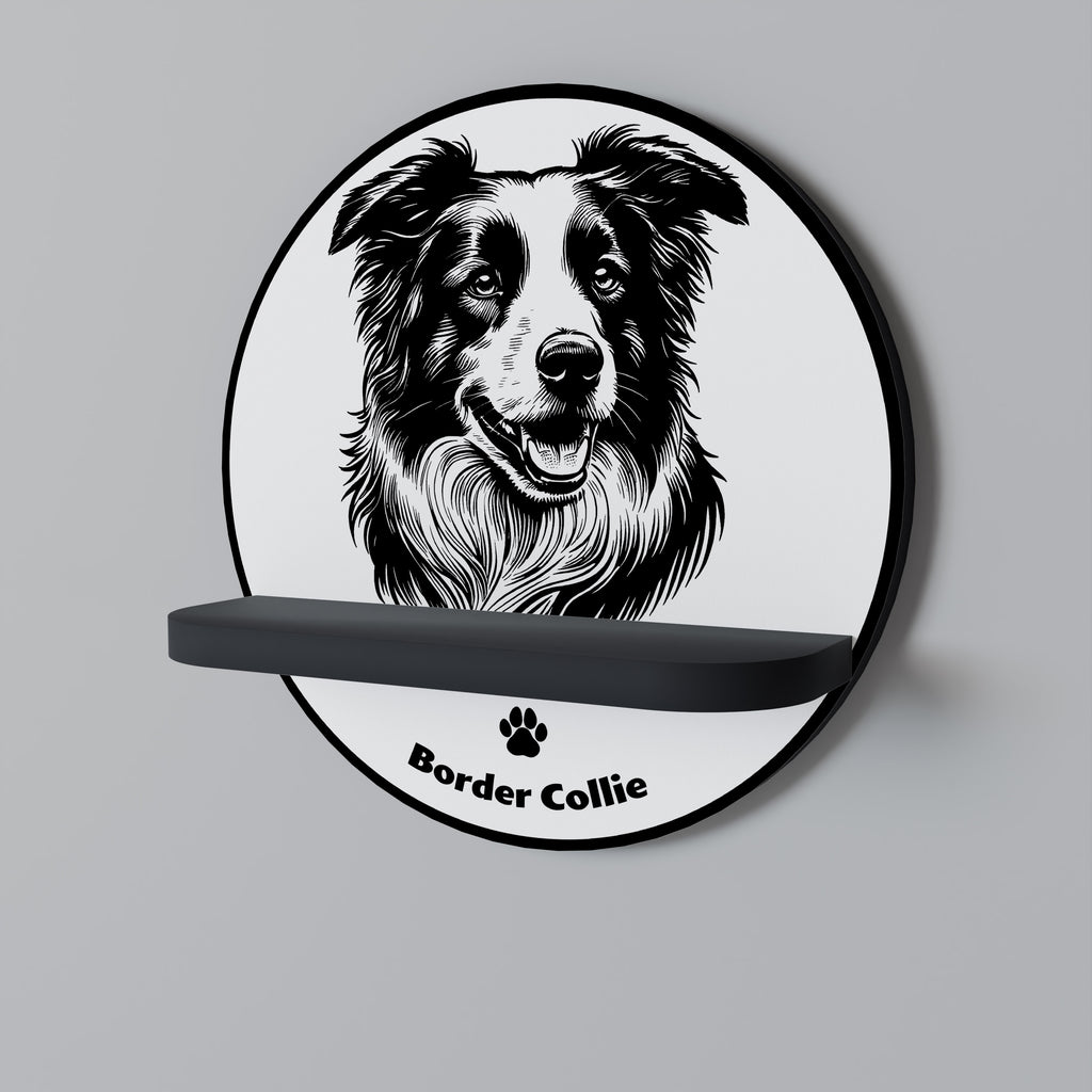 BORDER COLLIE Decorative Art Shelf