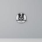 BORDER COLLIE Decorative Art Shelf